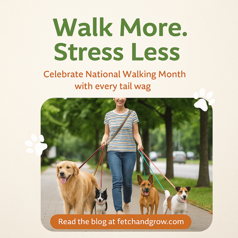 Walk It Out: How Daily Dog Walks Boost Your Health and Your Business