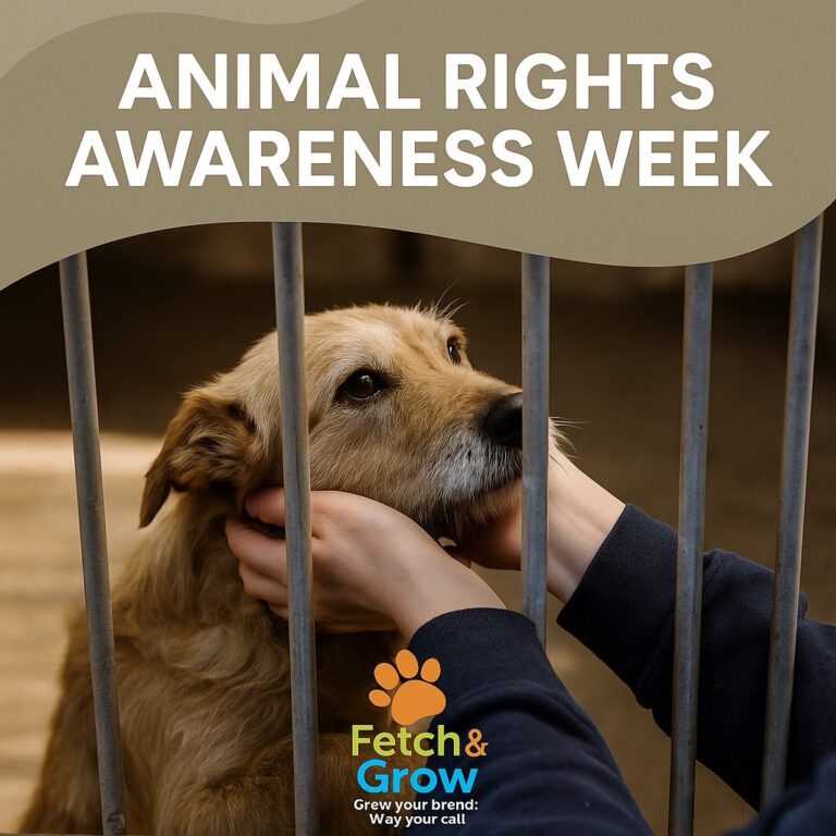 What Pet Businesses Can Do to Support Animal Rights Without Getting Political