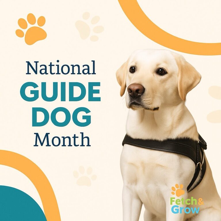 What Pet Pros Can Learn from National Guide Dog Month